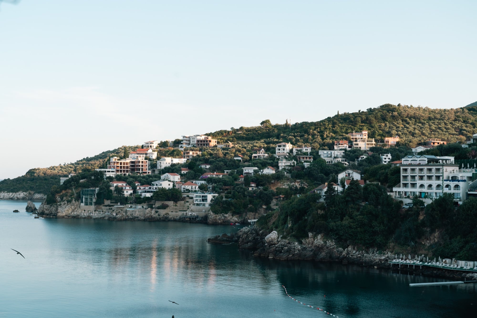 Ulcinj's houses spilling down the wooded headland to a rocky cove at dusk, a gull gliding low over the still water