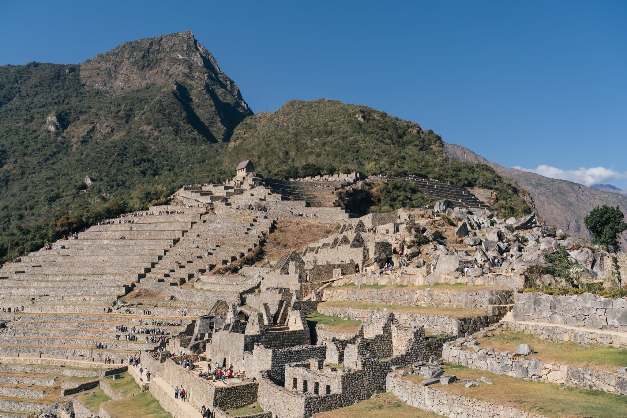 The full sweep of the citadel's terraces and structures